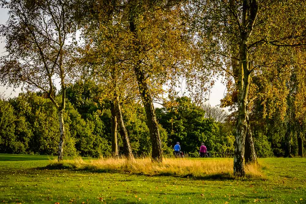 Cassiobury park, the place where I'm going when I want to dream